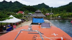 Paul Gauguin Cruises Tahiti & Society Islands Luxury Travel Virtuoso Izumi Ogawa Trip agent vacation advisor Vision French Polynesia Cruise ship boat huahine