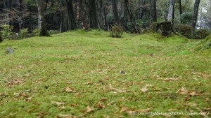 Kokedera Moss Temple Kyoto Tokyo Luxury Travel Japan Izumi Ogawa Trip Vision