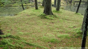 Kokedera Moss Temple Kyoto Tokyo Luxury Travel Japan Izumi Ogawa Trip Vision
