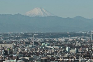 Park Hyatt Tokyo Luxury Travel Japan Virtuoso Izumi Ogawa Trip Mt Fuji