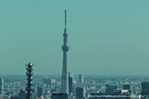 Park Hyatt Tokyo Luxury Travel Japan Virtuoso Izumi Ogawa Trip Skytree Sky Tree