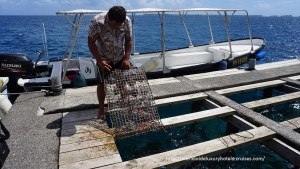 Paul Gauguin Cruises Tahiti & Society Islands Luxury Travel Virtuoso Izumi Ogawa Trip agent vacation advisor Vision French Polynesia Cruise ship boat tahaa