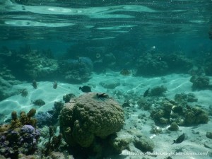 Paul Gauguin Cruises Tahiti & Society Islands Luxury Travel Virtuoso Izumi Ogawa Trip agent vacation advisor Vision French Polynesia Cruise ship boat tahaa