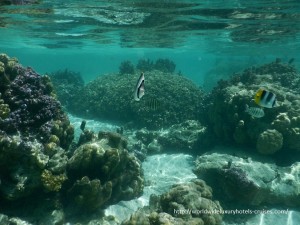 Paul Gauguin Cruises Tahiti & Society Islands Luxury Travel Virtuoso Izumi Ogawa Trip agent vacation advisor Vision French Polynesia Cruise ship boat tahaa