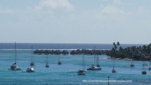 Paul Gauguin Cruises Tahiti & Society Islands Luxury Travel Virtuoso Izumi Ogawa Trip agent vacation advisor Vision French Polynesia Cruise ship boat ocean water sand beach Moorea shark stingray