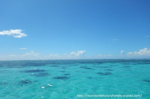 Paul Gauguin Cruises Tahiti & Society Islands Luxury Travel Virtuoso Izumi Ogawa Trip agent vacation advisor Vision French Polynesia Cruise ship boat ocean water sand beach Moorea shark stingray