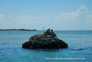 Paul Gauguin Cruises Tahiti & Society Islands Luxury Travel Virtuoso Izumi Ogawa Trip agent vacation advisor Vision French Polynesia Cruise ship boat ocean water sand beach Moorea shark stingray