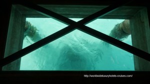 St. Regis Resort Bora Bora overwater bungalow snorkel room bath bed Tahiti Society Islands Luxury Travel Virtuoso Izumi Ogawa Trip agent vacation advisor Vision French Polynesia Cruise ship boat ocean water sand beach