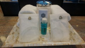 St. Regis Resort Bora Bora overwater bungalow snorkel room bath bed Tahiti Society Islands Luxury Travel Virtuoso Izumi Ogawa Trip agent vacation advisor Vision French Polynesia Cruise ship boat ocean water sand beach